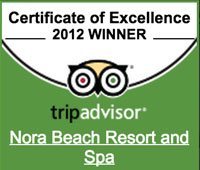 The TripAdvisor Certificate of Excellence